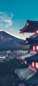 AP景深宠物岛
