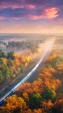 Passenger Train and Beautiful Forest in Fog At Sunset