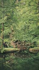 Bridges 2 (11)