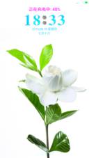 最美茉莉