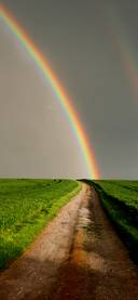 The Rainbow after the rain-PAIXIN