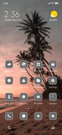 Cocunut Tree