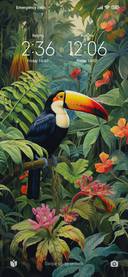 rainforest toucan