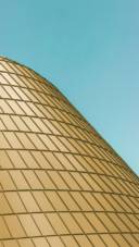 Gold Rush (32)