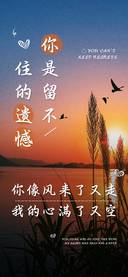 你是留不住的遗憾