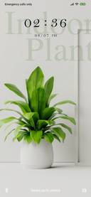 Indoor Plants_3MDS