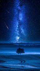 Milky Way and Falling Stars over Filed with One Tree