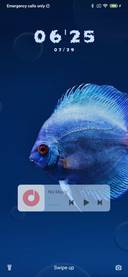 Fish Blue_3MDS