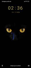 Cat s Eyes_3MDS