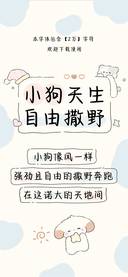 小狗天生自由撒野