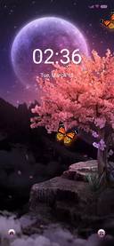 Dream Cherry