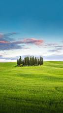 Tuscan Countryside with Hills and Wheat