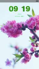 桃花开了（动态花瓣特效）