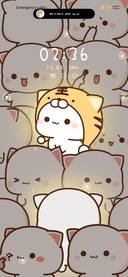 Luminous Peach Cat