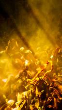 India-Holi (3)