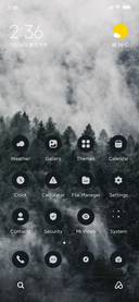 Forest Fog