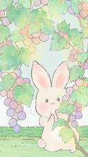 Vineyard rabbit