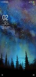 迷踪森林