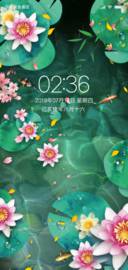 夏日锦鲤