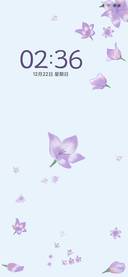 紫兰花语