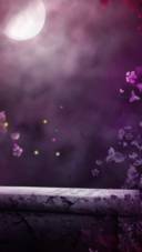 紫夜藤