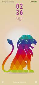 Lion Abstract Design_3MDP