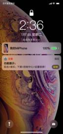 iPhone Xs iOS 12