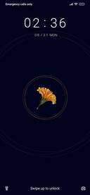 Marigold_3MDS