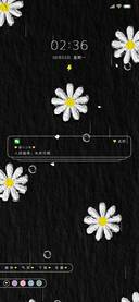 多彩 油画小雏菊