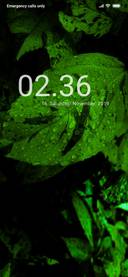 Rainy Leaf_DWM3
