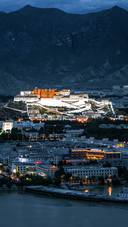 How much gold is there in the Potala Palace 81