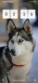 Husky_3MDP