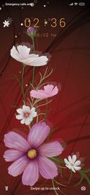 Flowers_3MDP
