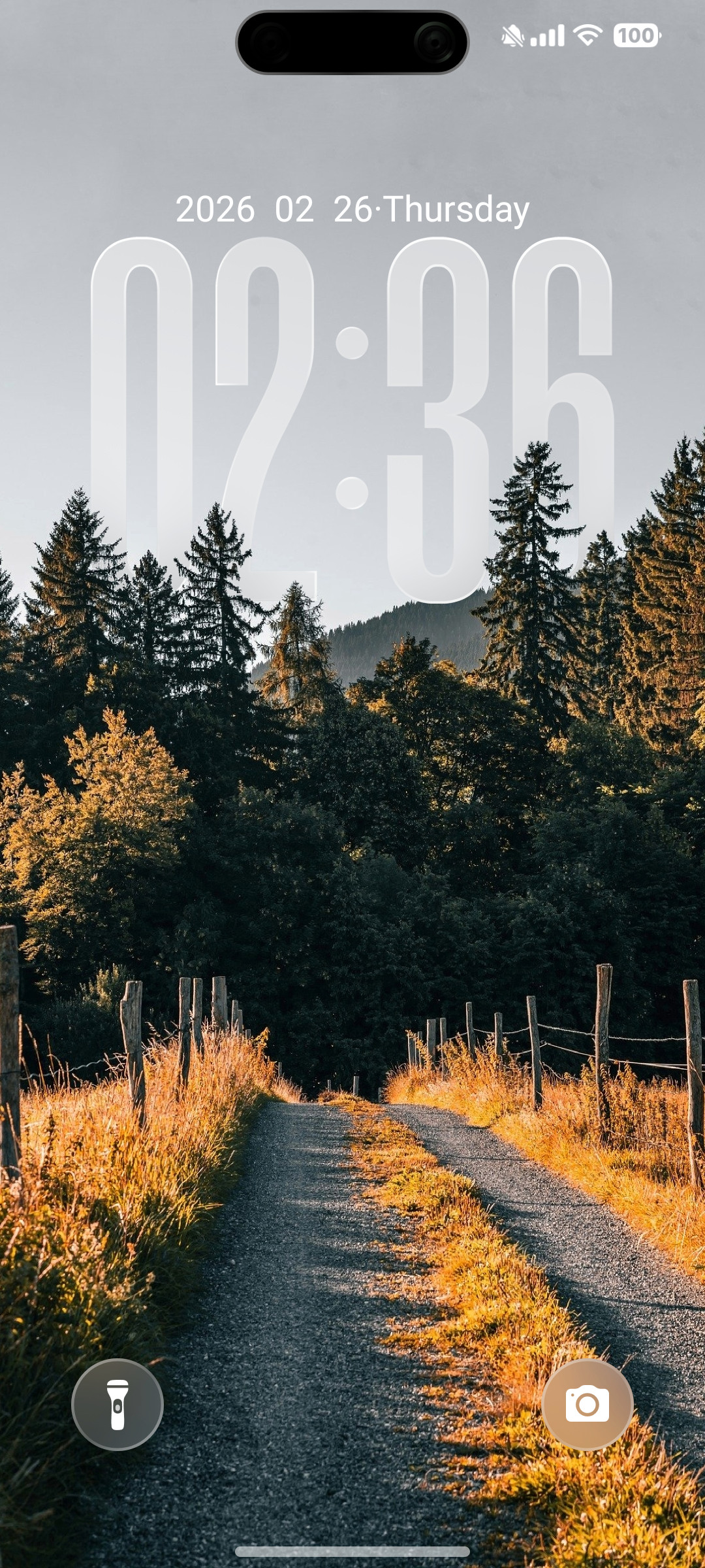 OX LS MIUI Customization