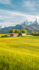 Scenery  (10)