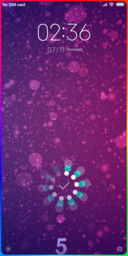 Mi Turns 5 (50)