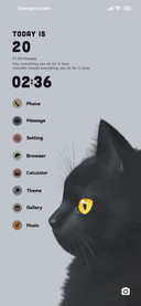 Black Cat
