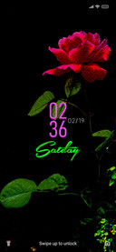 Rose