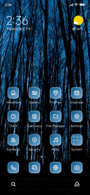 Forest