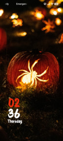 Yellow Spider