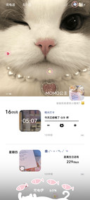猫猫朋友圈自定义