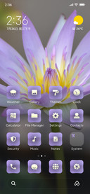 Lotus