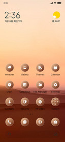 Desert Sky