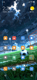 Overcast Football