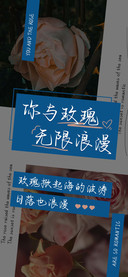 你与玫瑰无限浪漫
