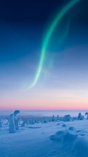 Beautiful Aurora on the Sky over a Snowy Winter Landscape