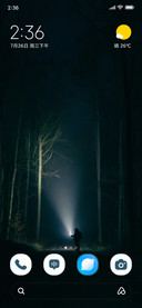 Forest Echo