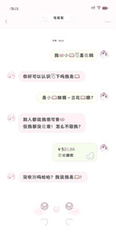 我的小猫一直在响