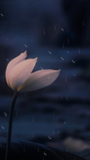 静荷