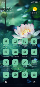 Chromatic Blossoms